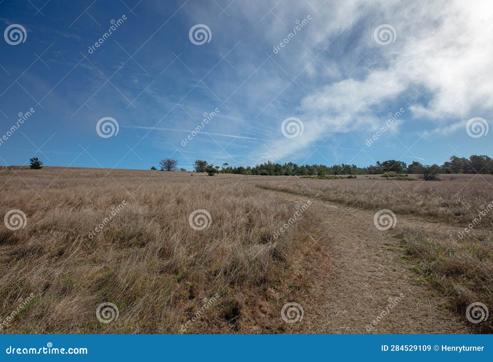 Fiscalini Ranch Preserve