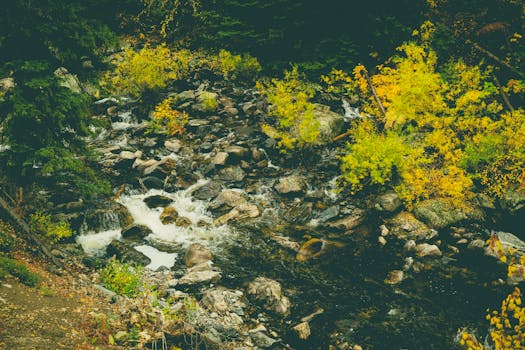 Fish Creek Falls