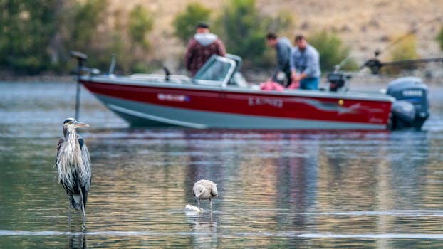 Fishing in the Uncompahgre River