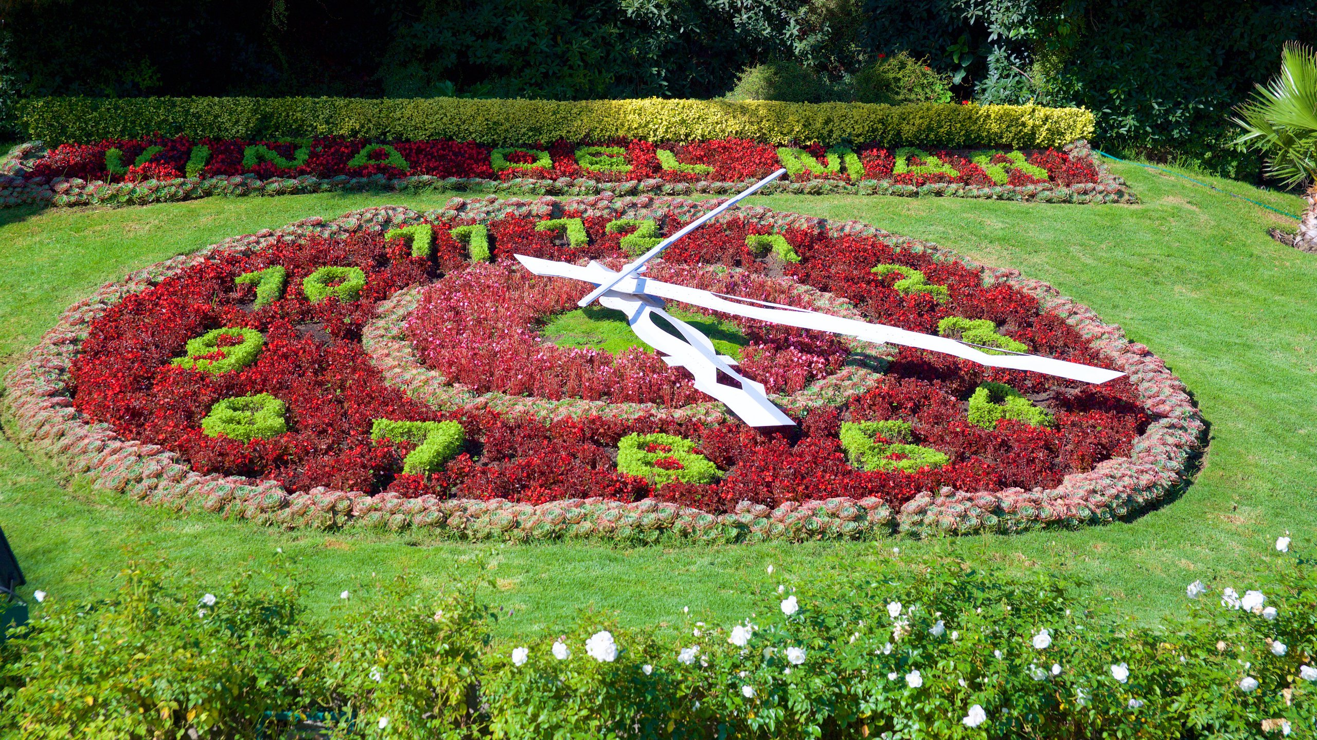 Flower Clock