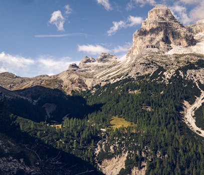 Foresta di Tarvisio