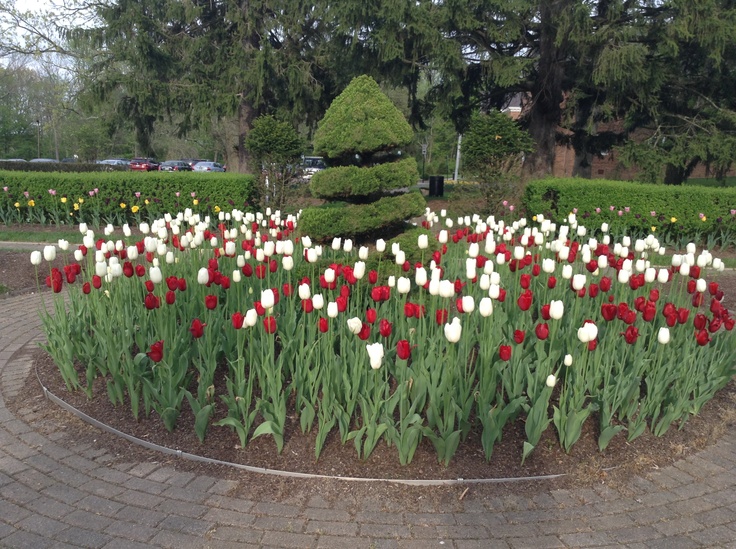 Formal Gardens (Miami University)