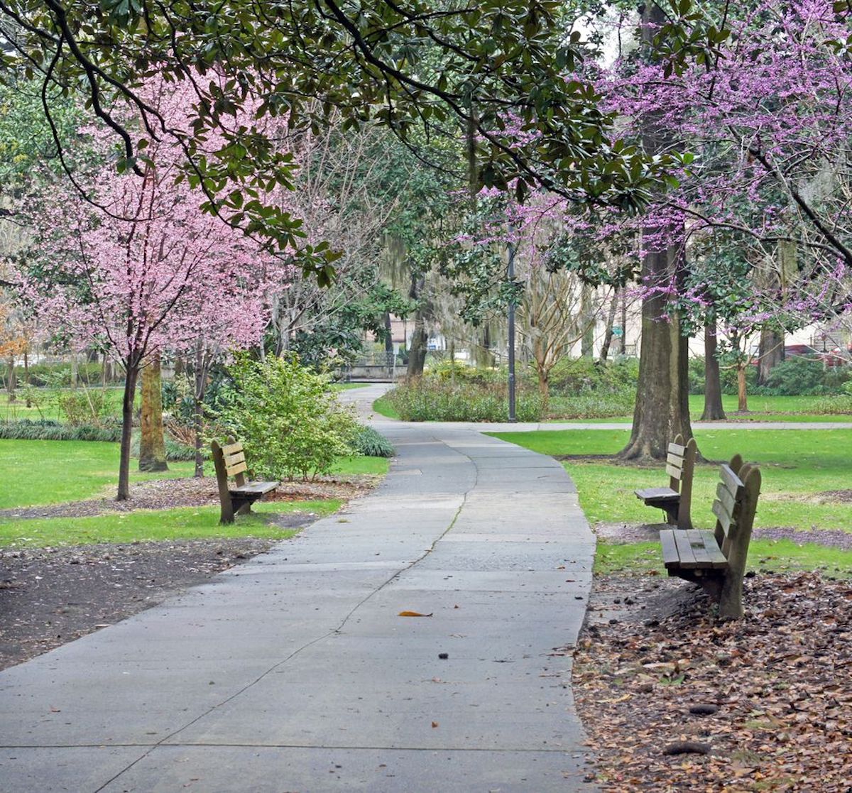 Forsyth Park