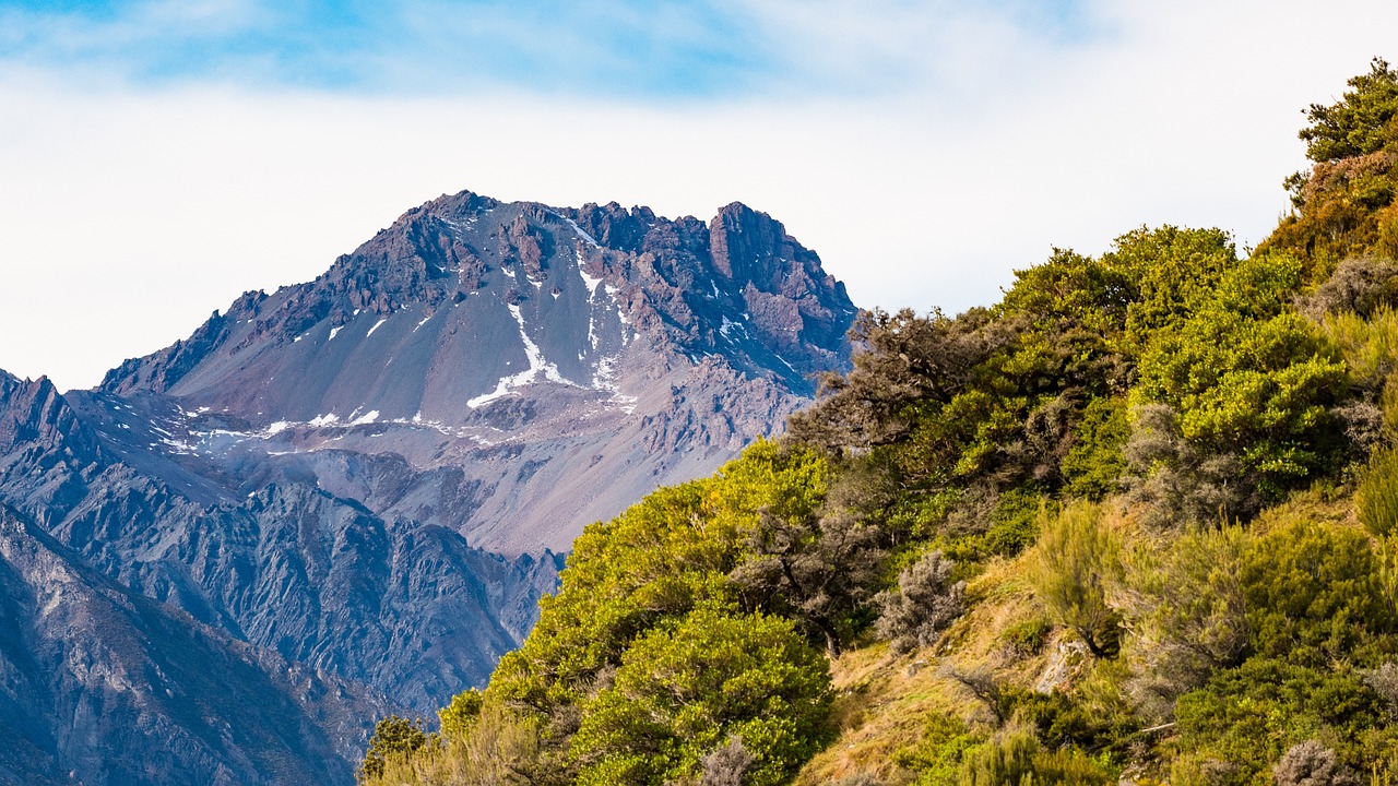 Fox Glacier