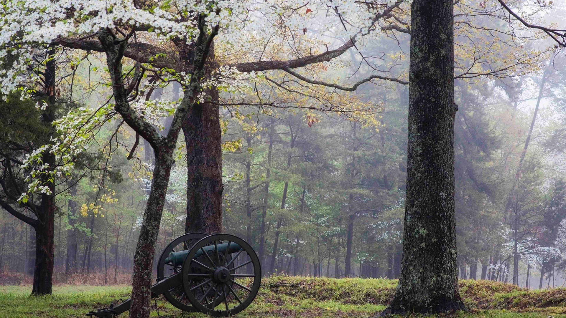 Fredericksburg and Spotsylvania National Military Park