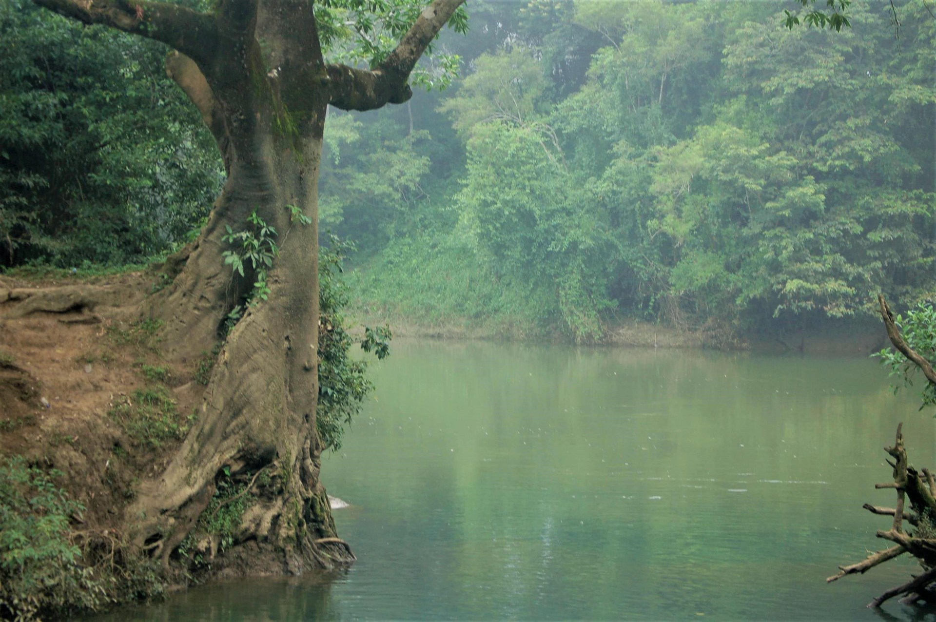 Fresh Water Creek Nature Reserve