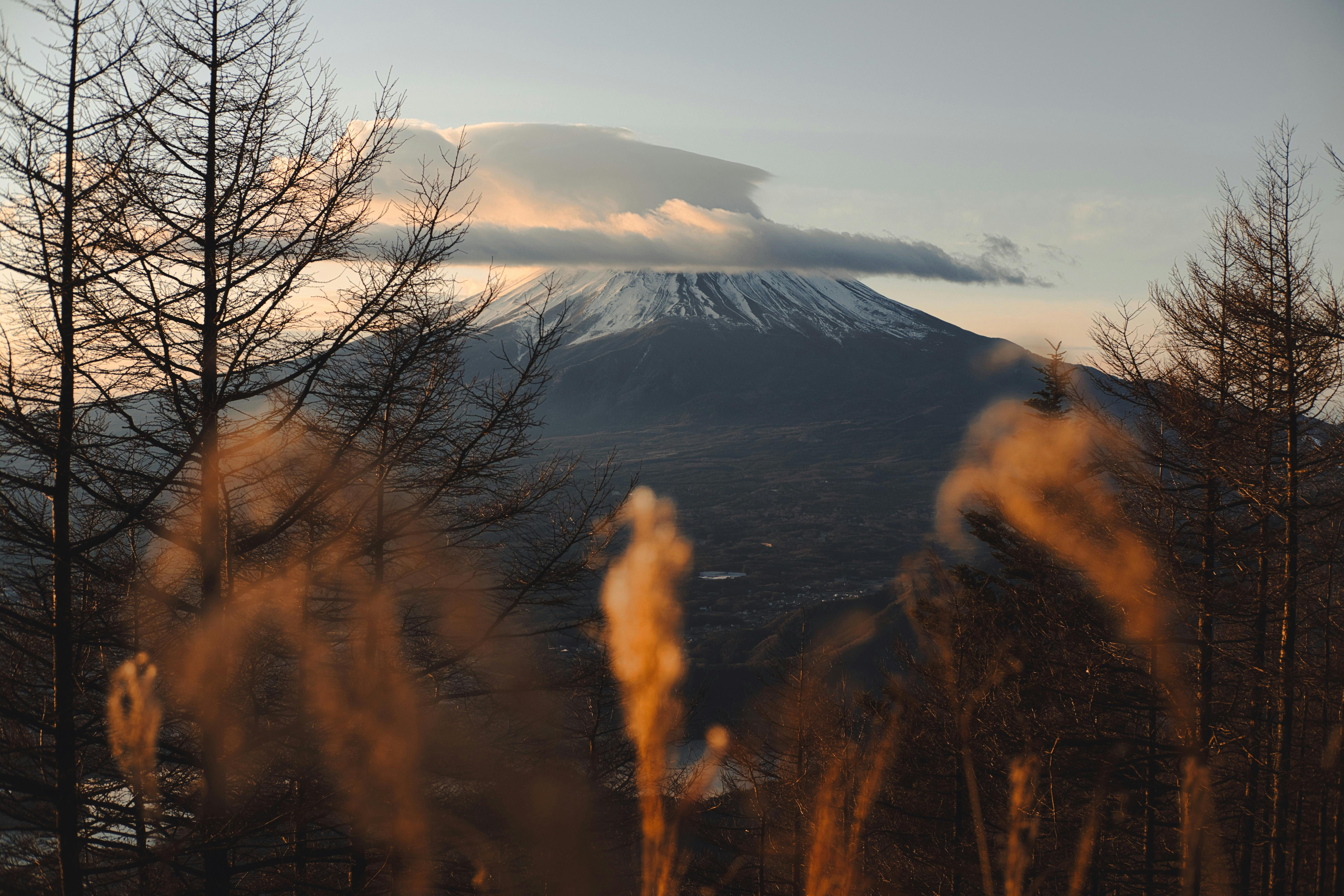 Fuji Safari Park