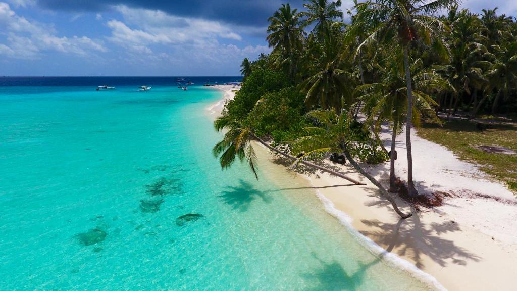 Fulidhoo Beach