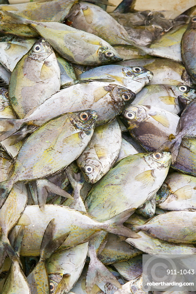 Funafuti Fish Market