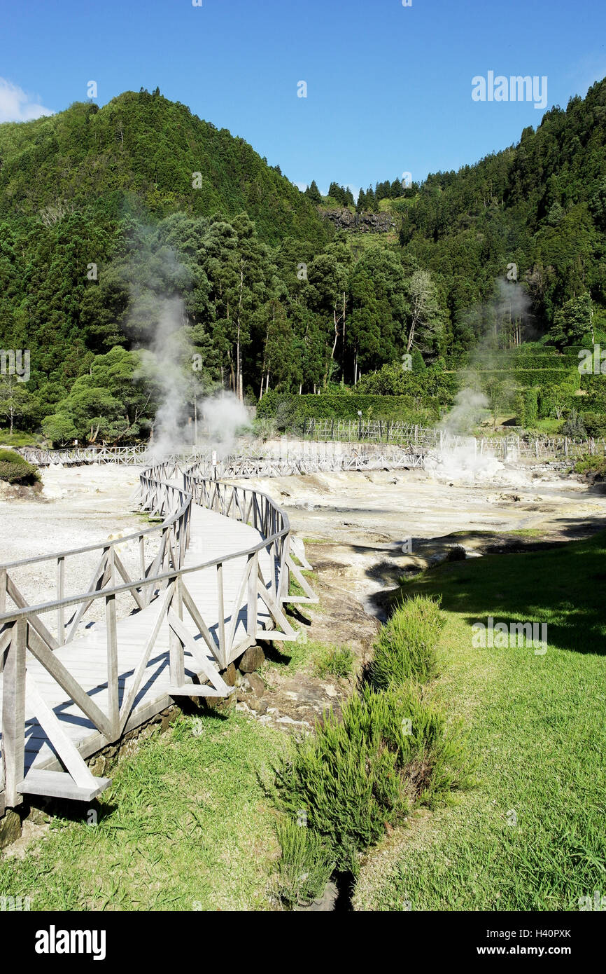 Furnas