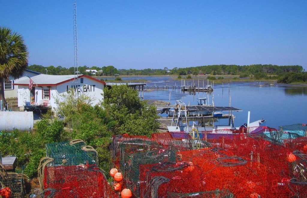 Gainesville Offshore Fishing