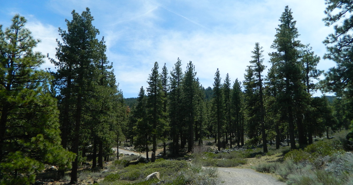 Galena Creek Regional Park