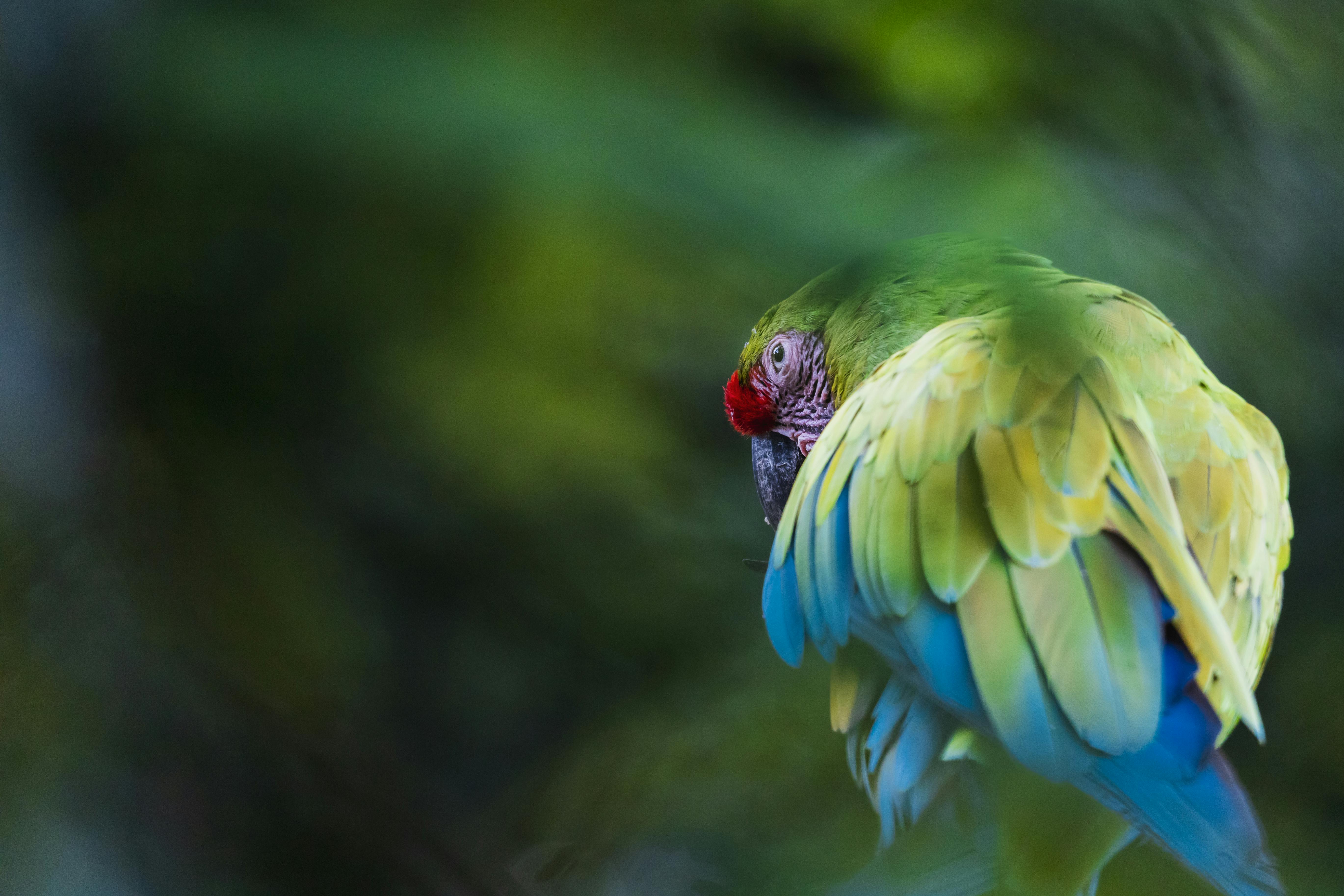 Gandoca-Manzanillo National Wildlife Refuge