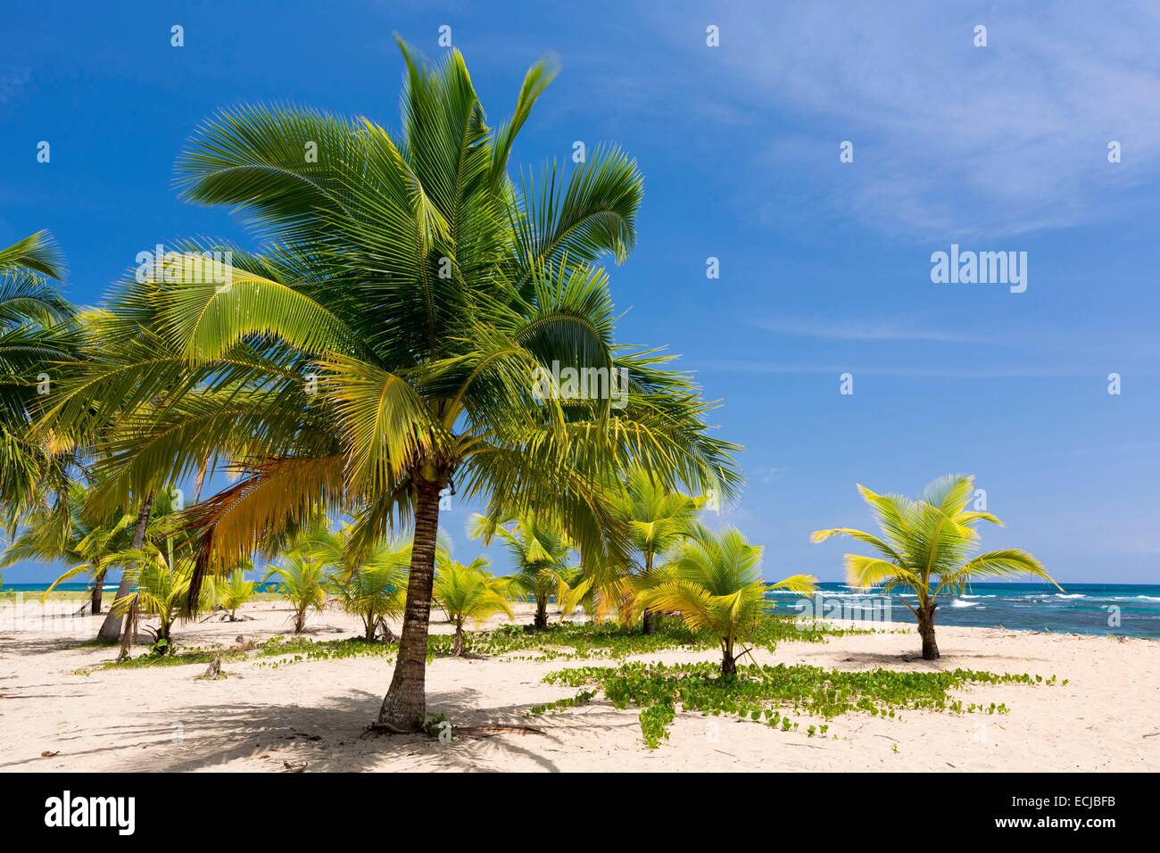 Gandoca-Manzanillo National Wildlife Refuge