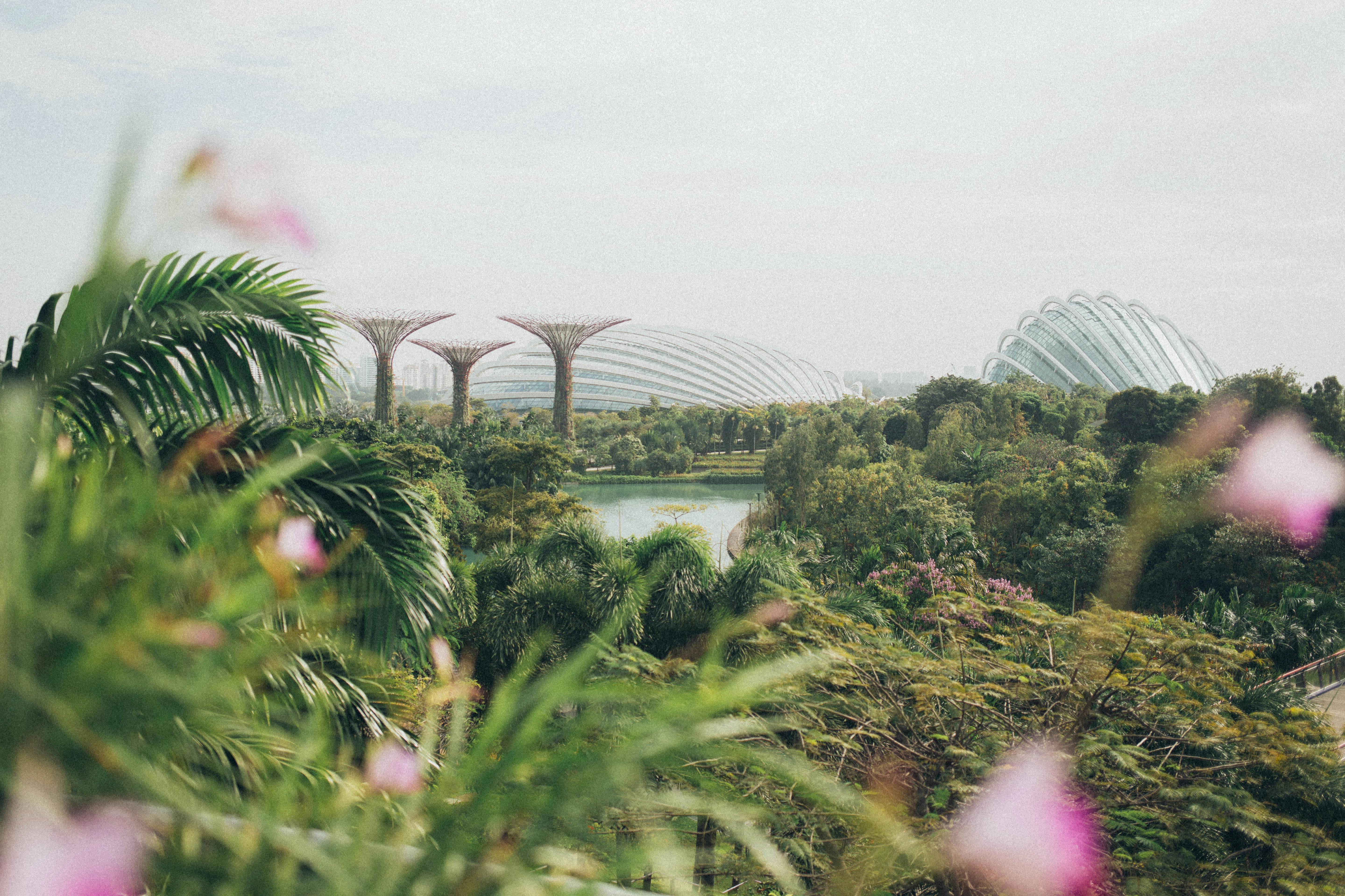 Gardens by the Bay