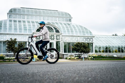 Garfield Park Conservatory & Sunken Garden