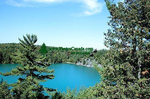 Gatineau Park