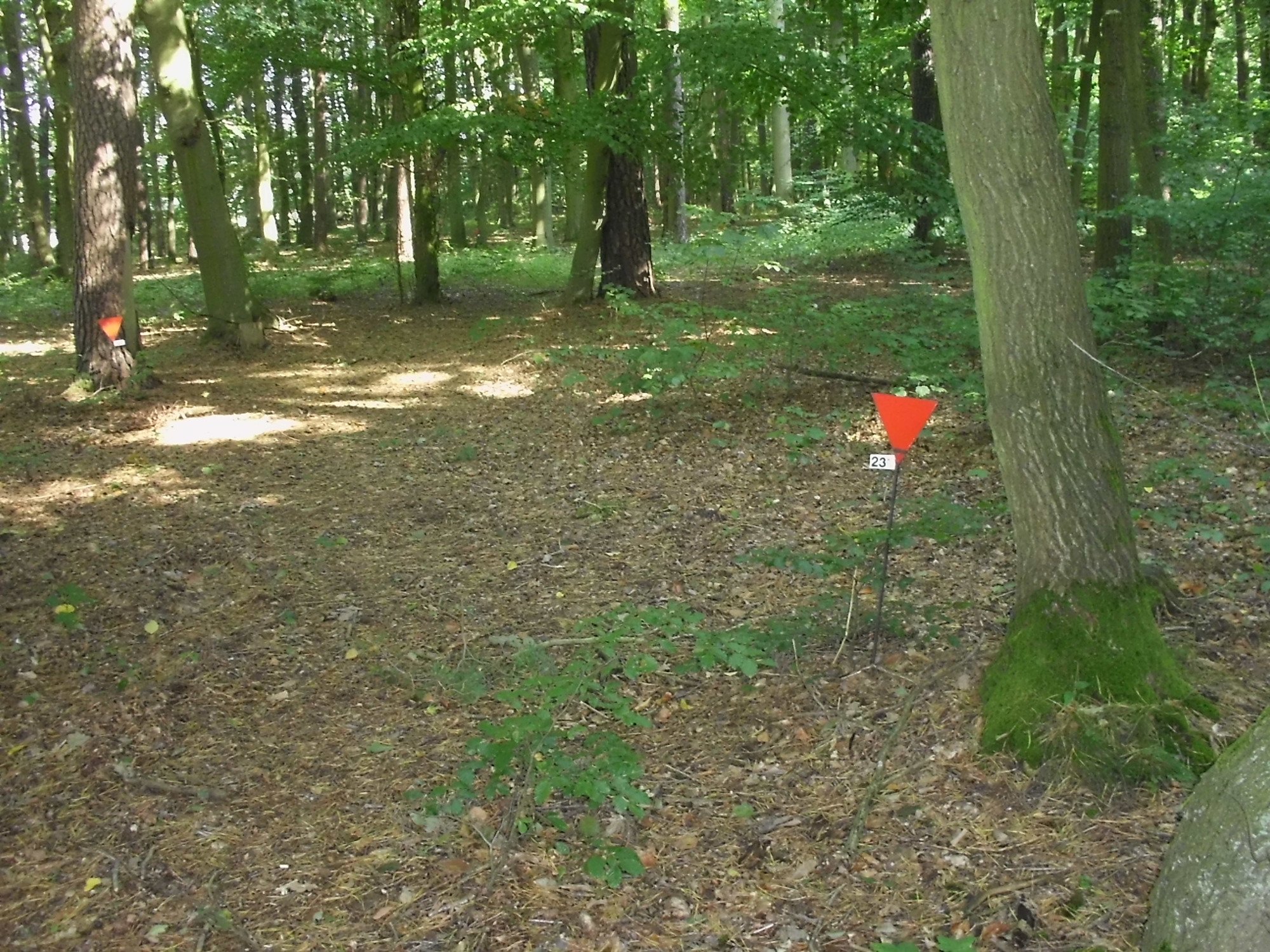 Gedenkstätte Todesmarsch im Belower Wald