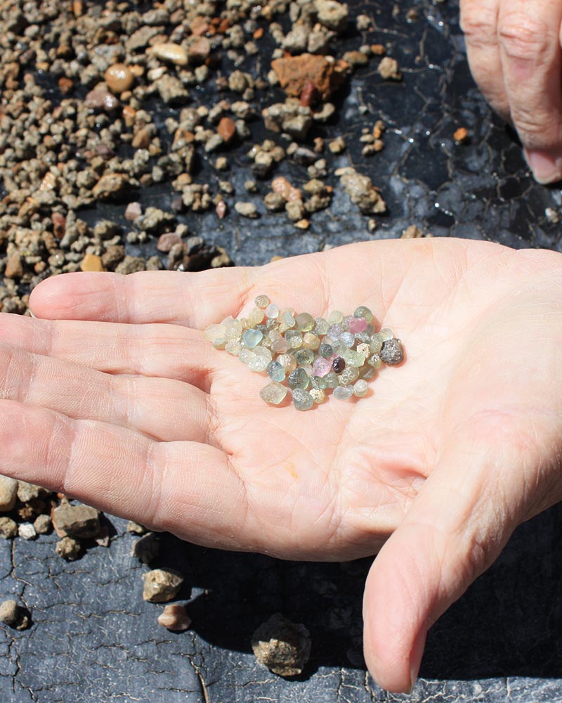 Gem Mountain Sapphire Mine