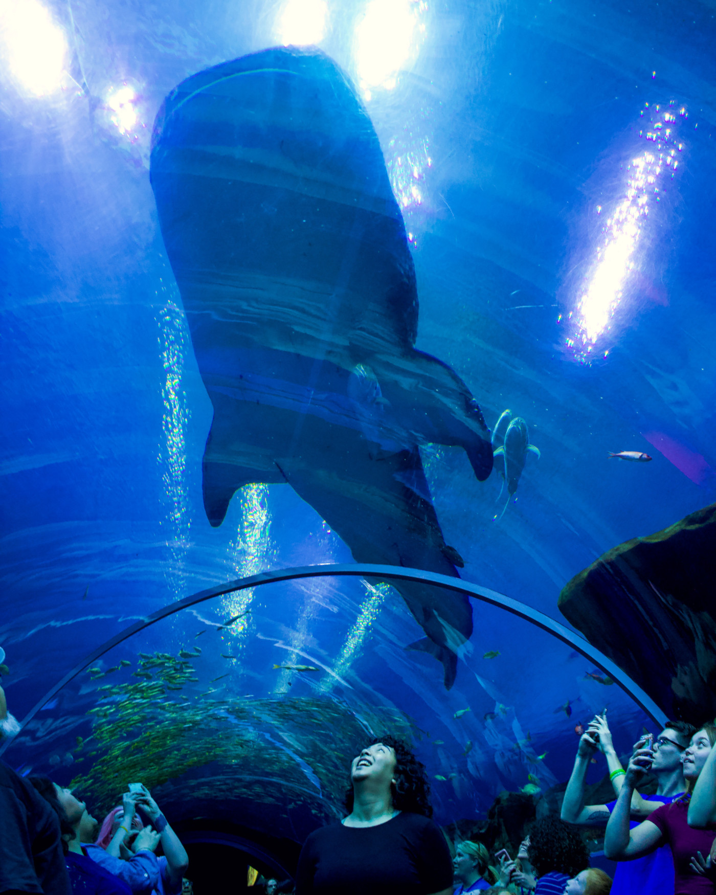 Georgia Aquarium