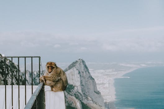 Gibraltar Museum