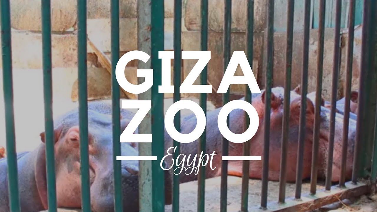 Giza Zoo