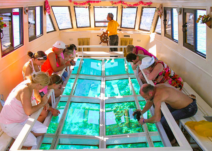 Glass Bottom Boat Tour