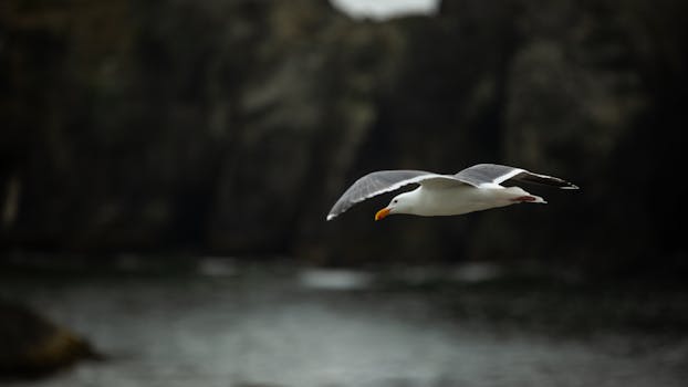 Glide, Oregon (North Umpqua)