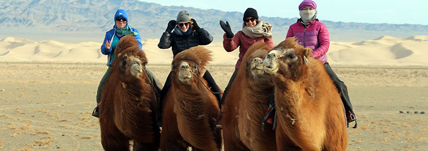 Gobi Desert Day Trip