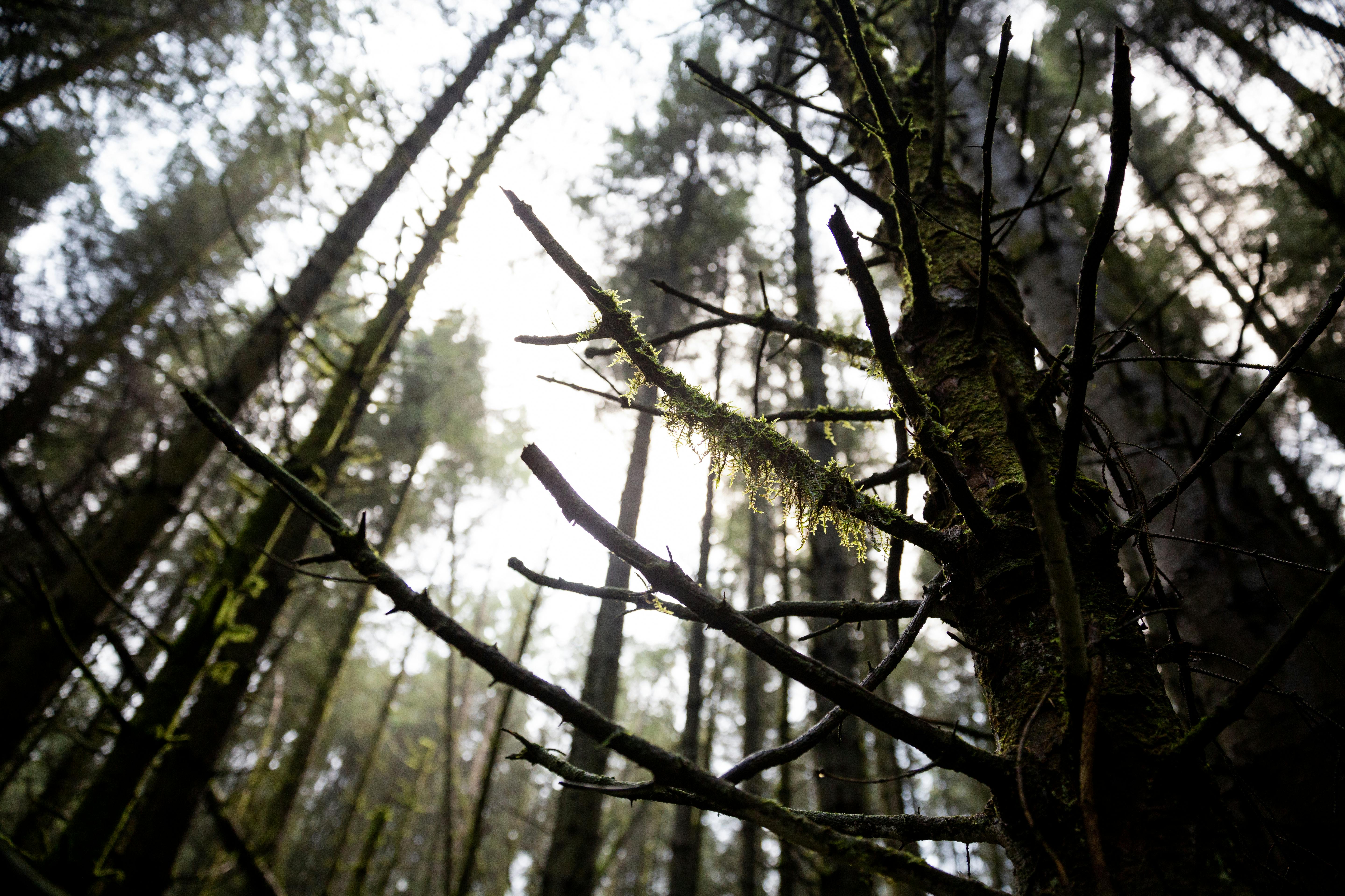 Gortin Glen Forest Park