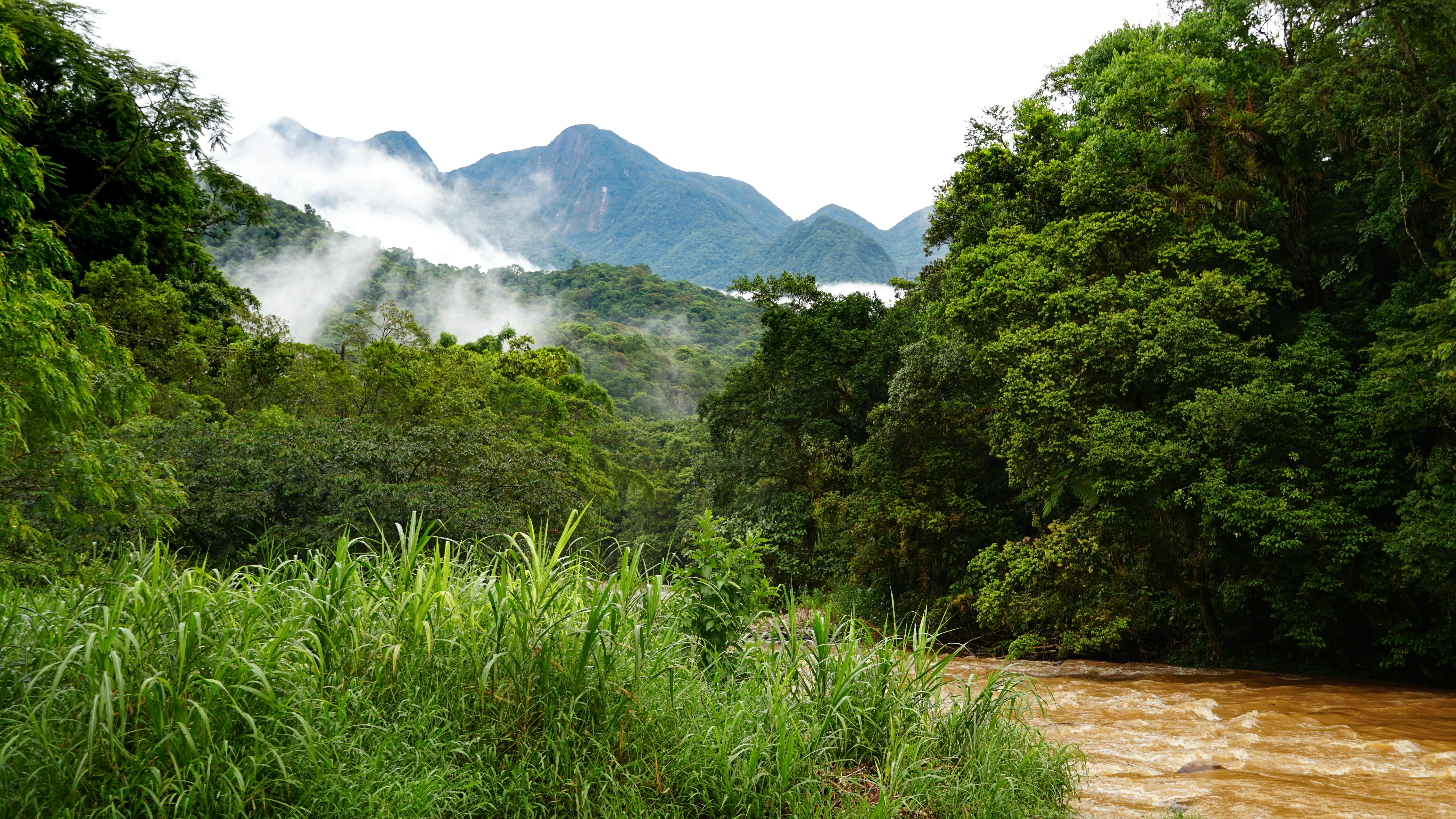 Graciosa Road