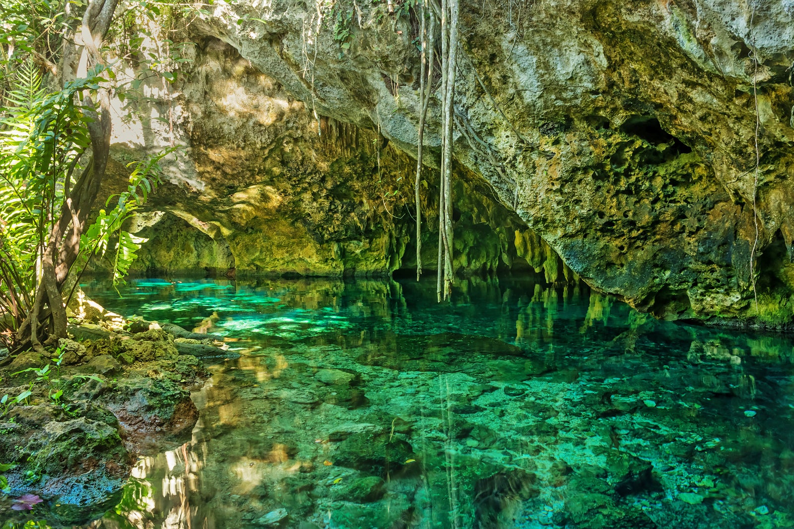 Gran Cenote