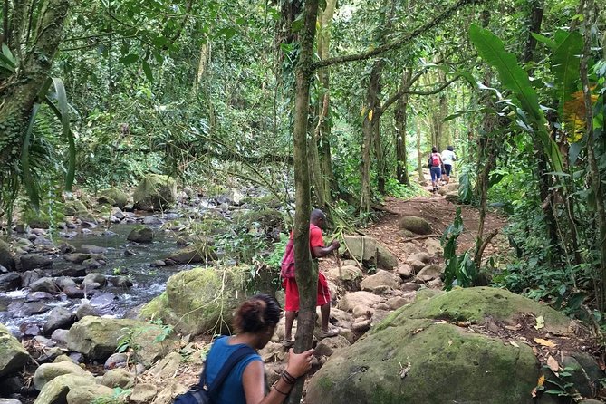 Grand Etang National Park and Forest Reserve