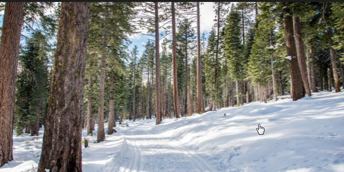 Gray Creek Trail