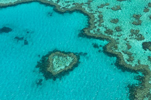 Great Barrier Reef Tours