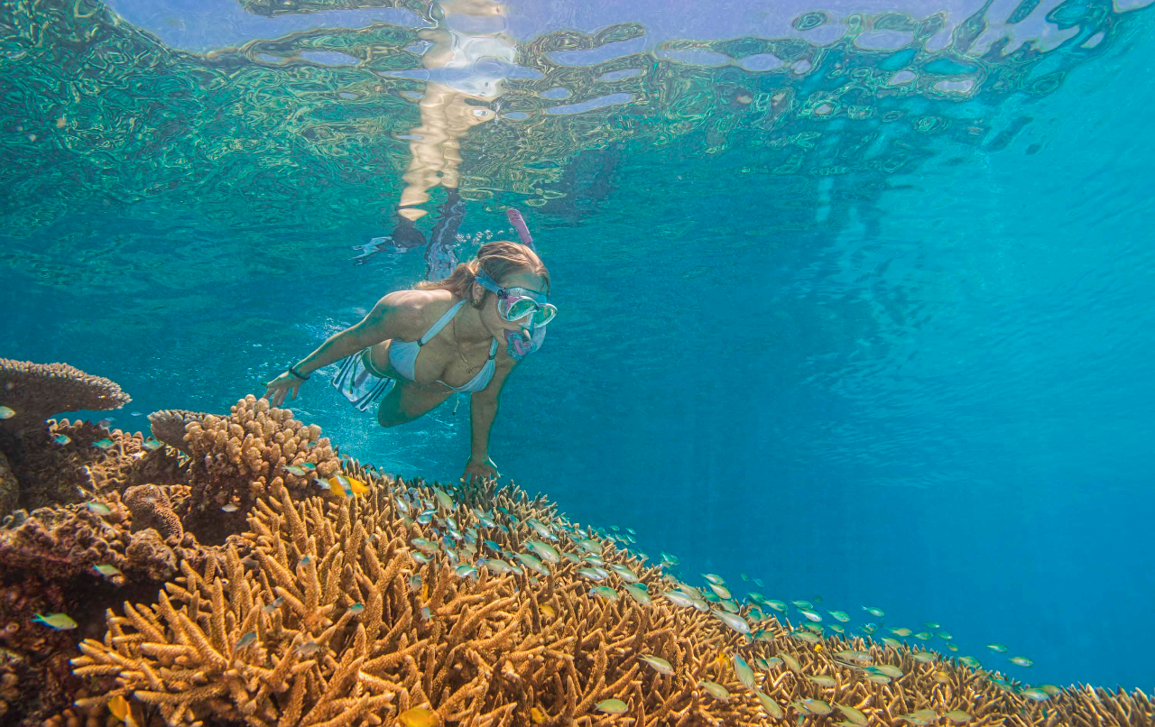 Great Barrier Reef Tours