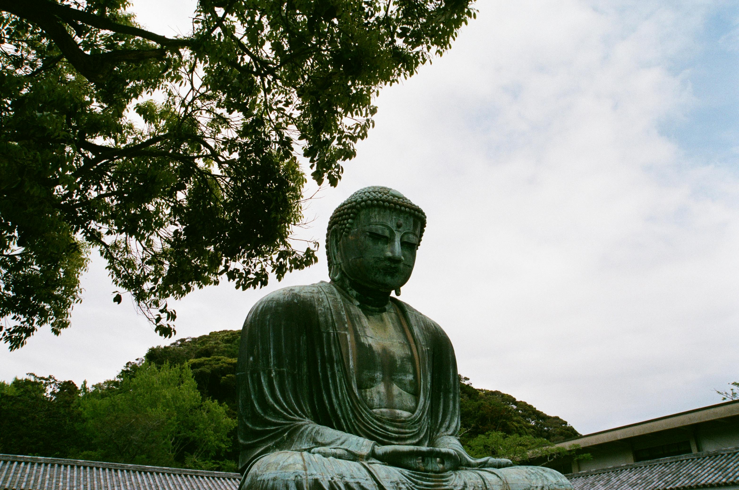 Great Buddha of Kamakura