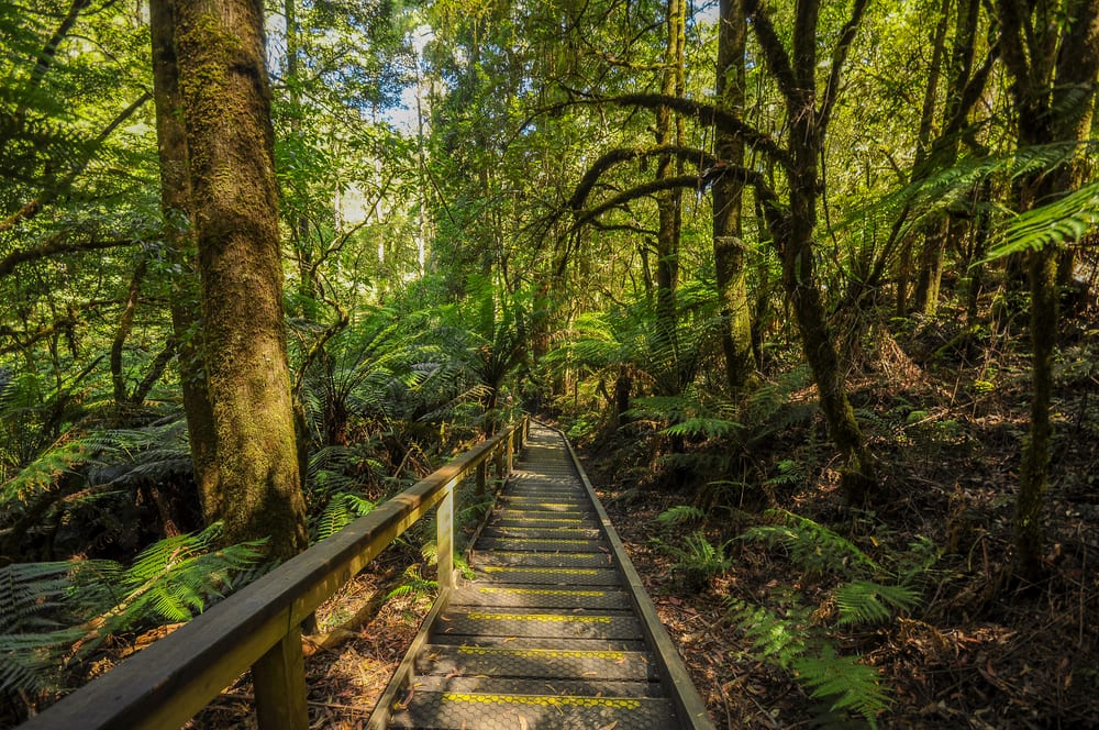 Great Otway National Park