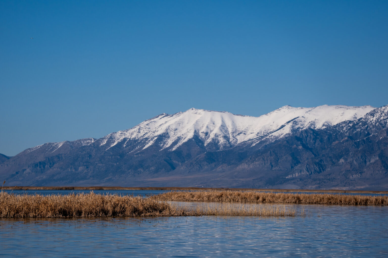 Great Salt Lake