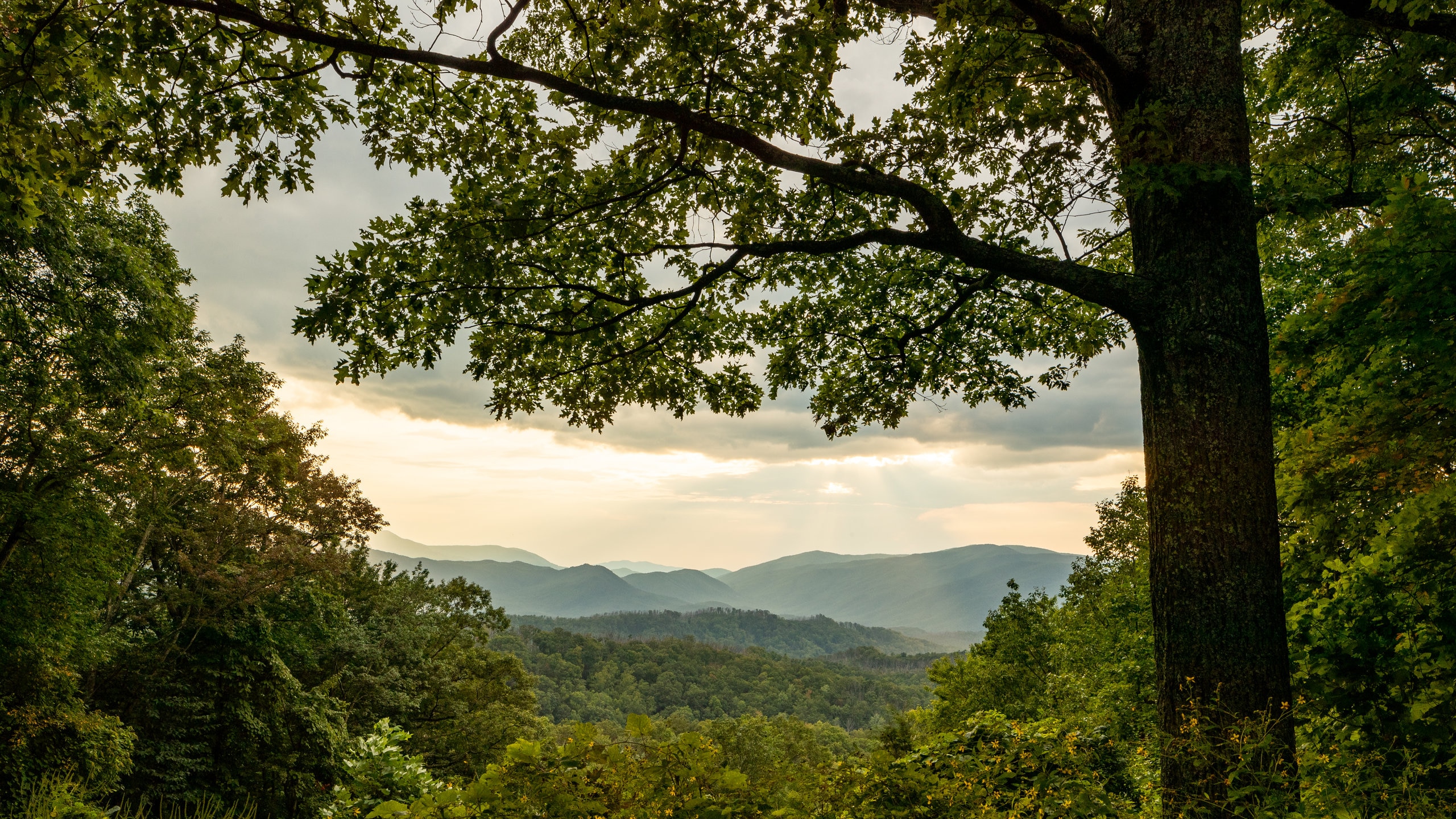 Great Smoky Mountains National Park