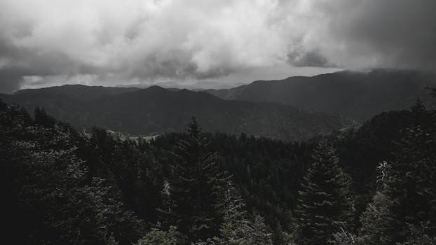 Great Smoky Mountains National Park