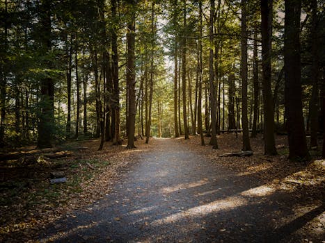 Great Valley Trail