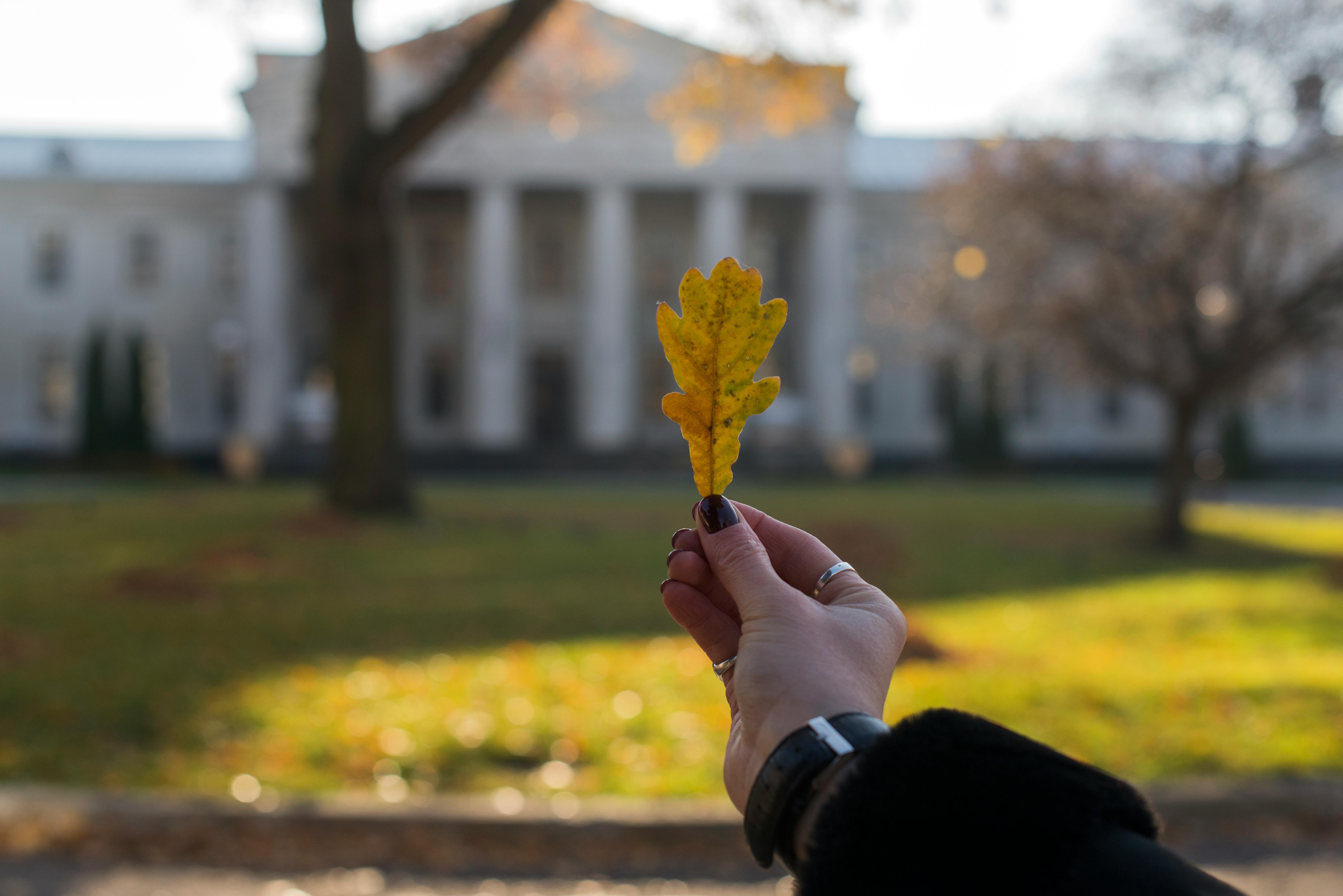 Grodno State Medical University Botanical Garden