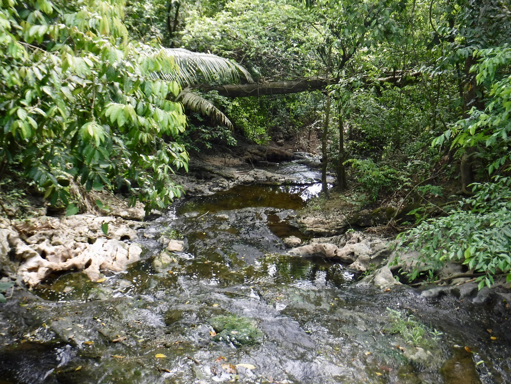 Guanacaste National Park