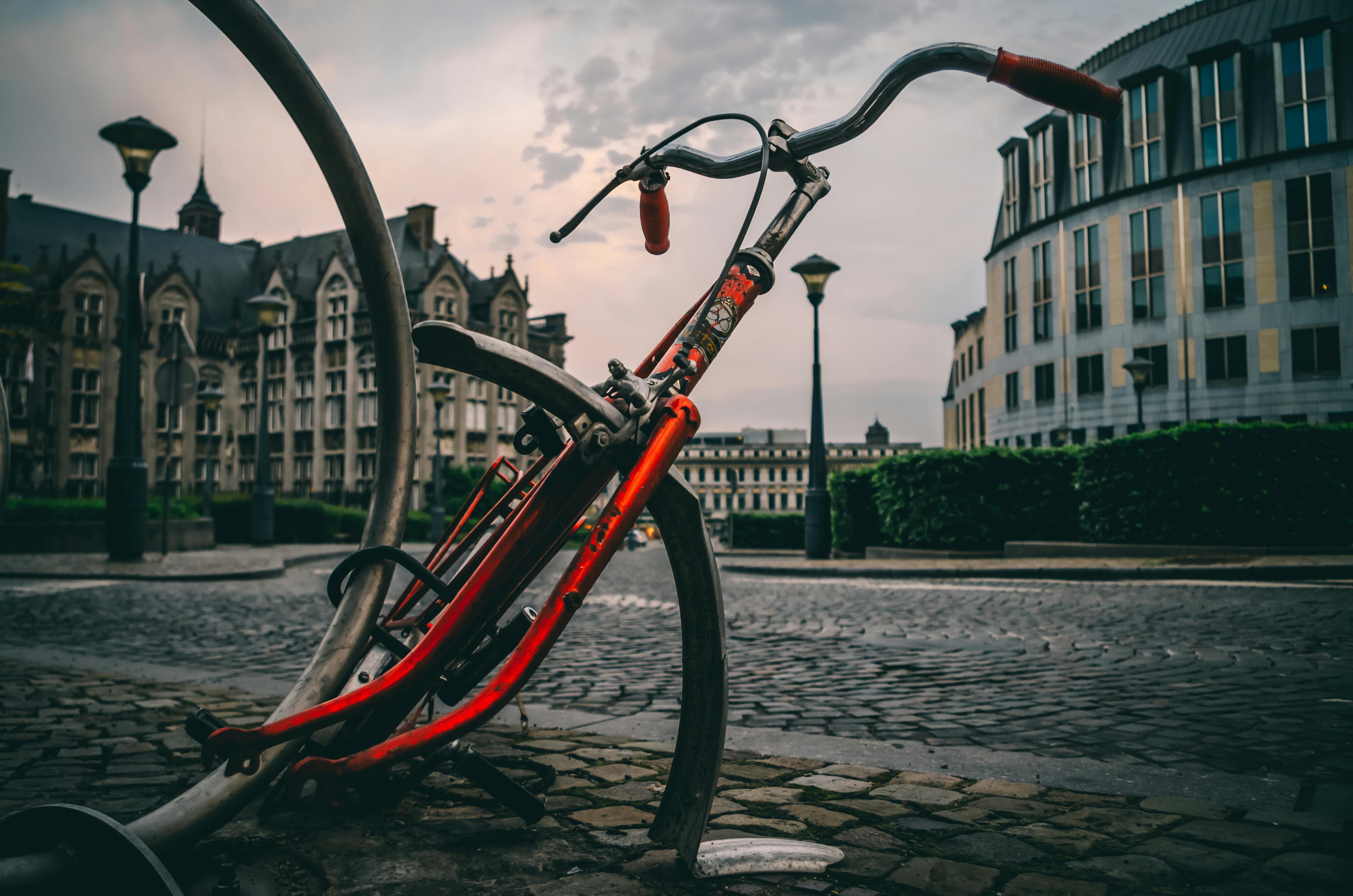 Guided Cycling Excursion