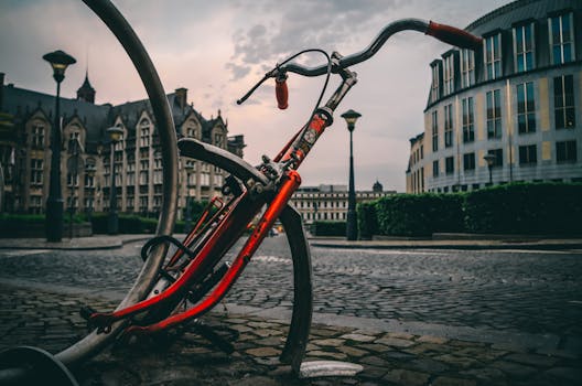 Guided Cycling Excursion at Ghent