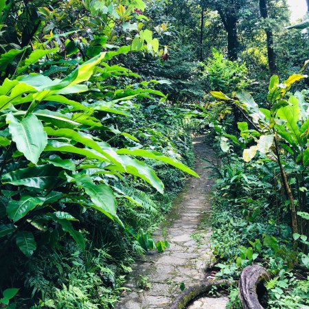 Guilin Botanical Garden