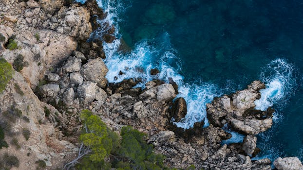 Gulf of Morbihan