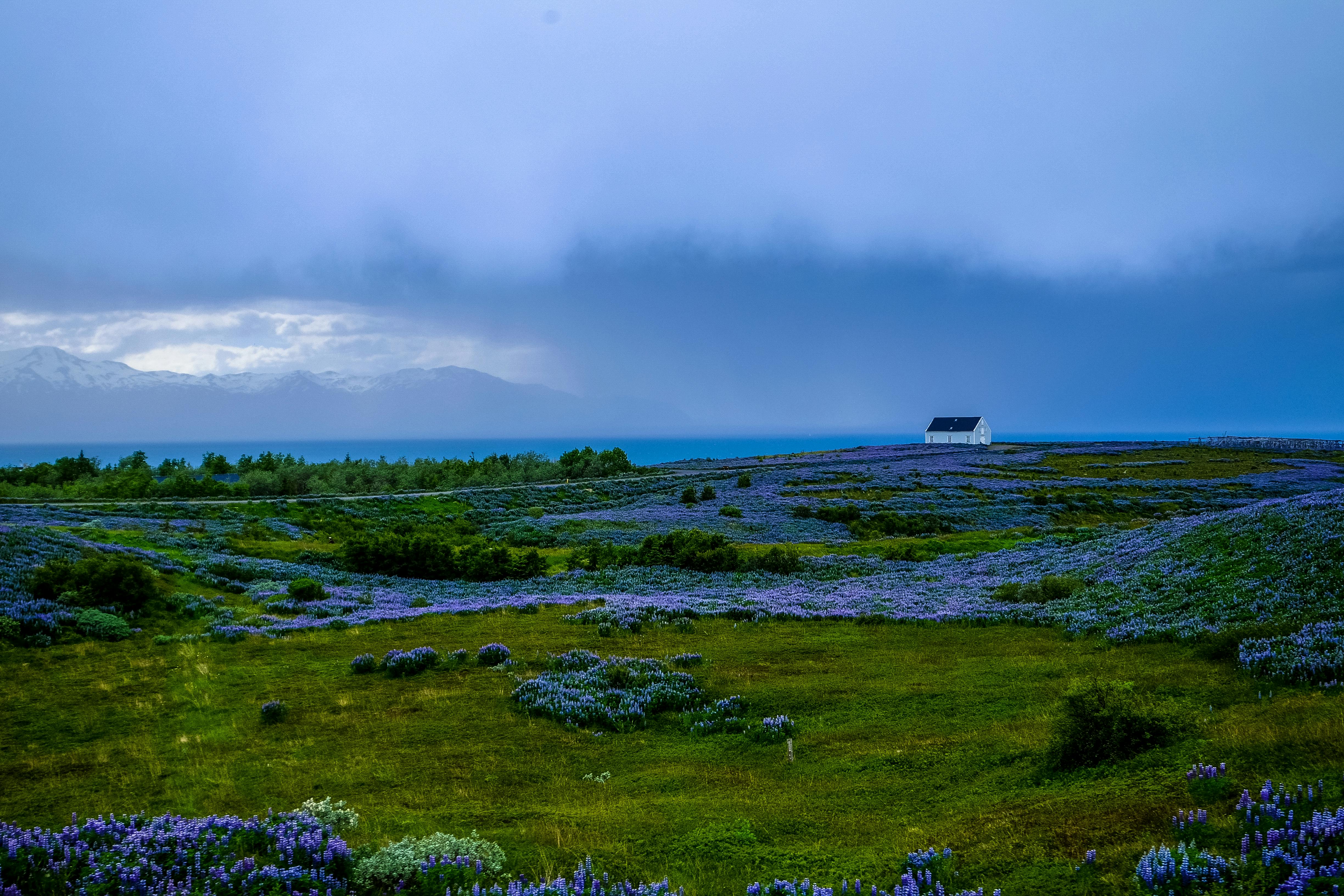 Húsavík Cape