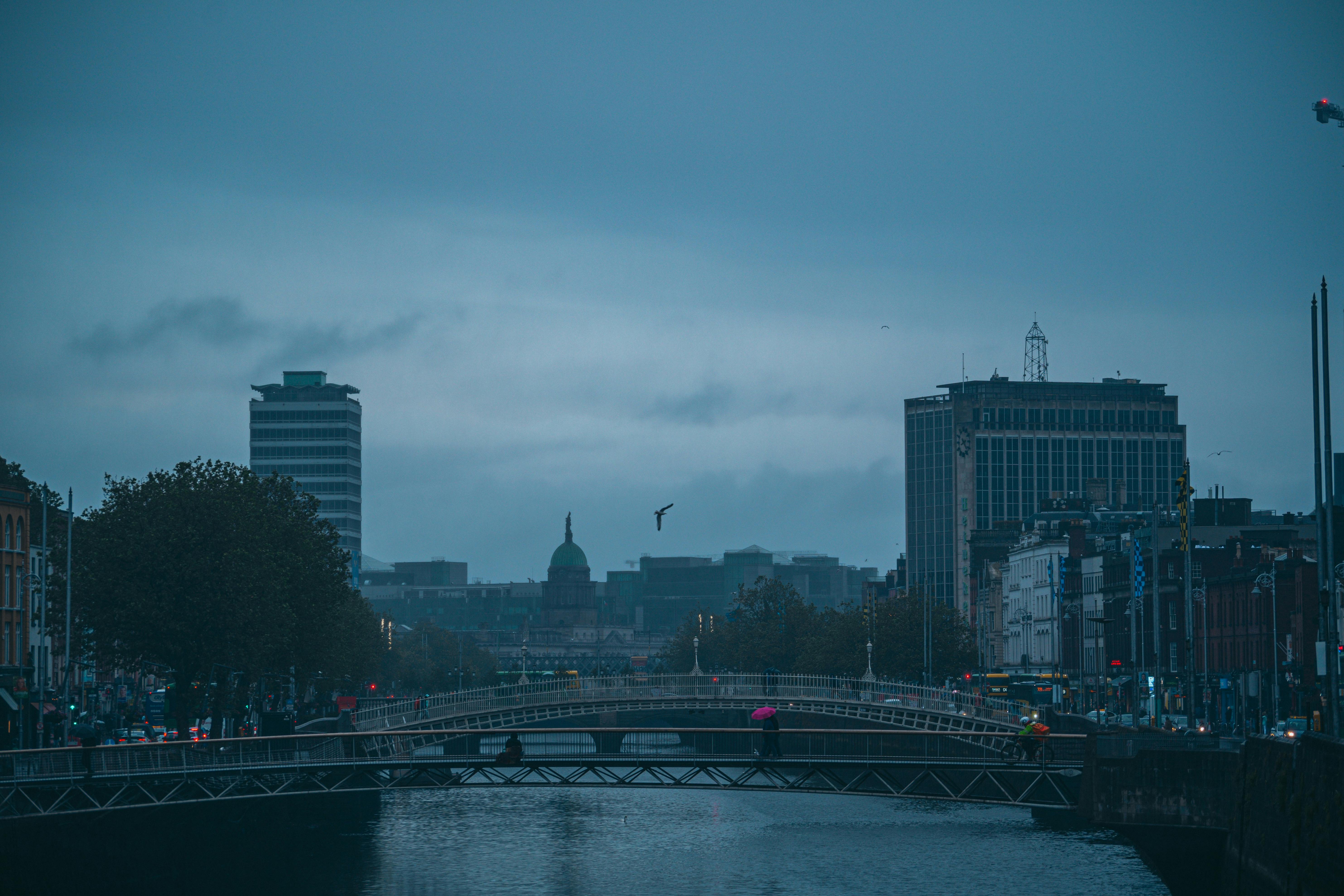 Ha'penny Bridge